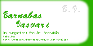 barnabas vasvari business card
