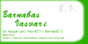 barnabas vasvari business card